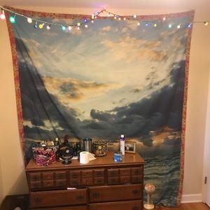 Plum and bow urban outfitters tapestry!